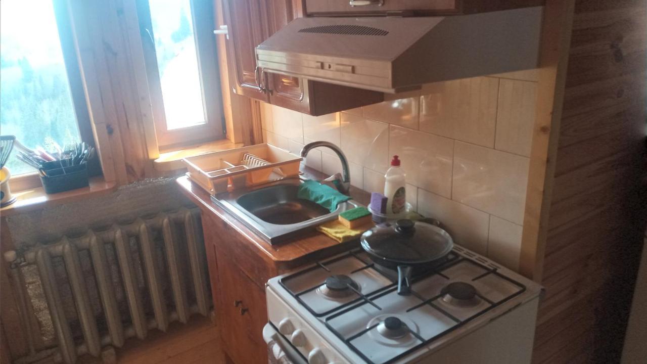 Біля Лісу Daire Slavske Dış mekan fotoğraf