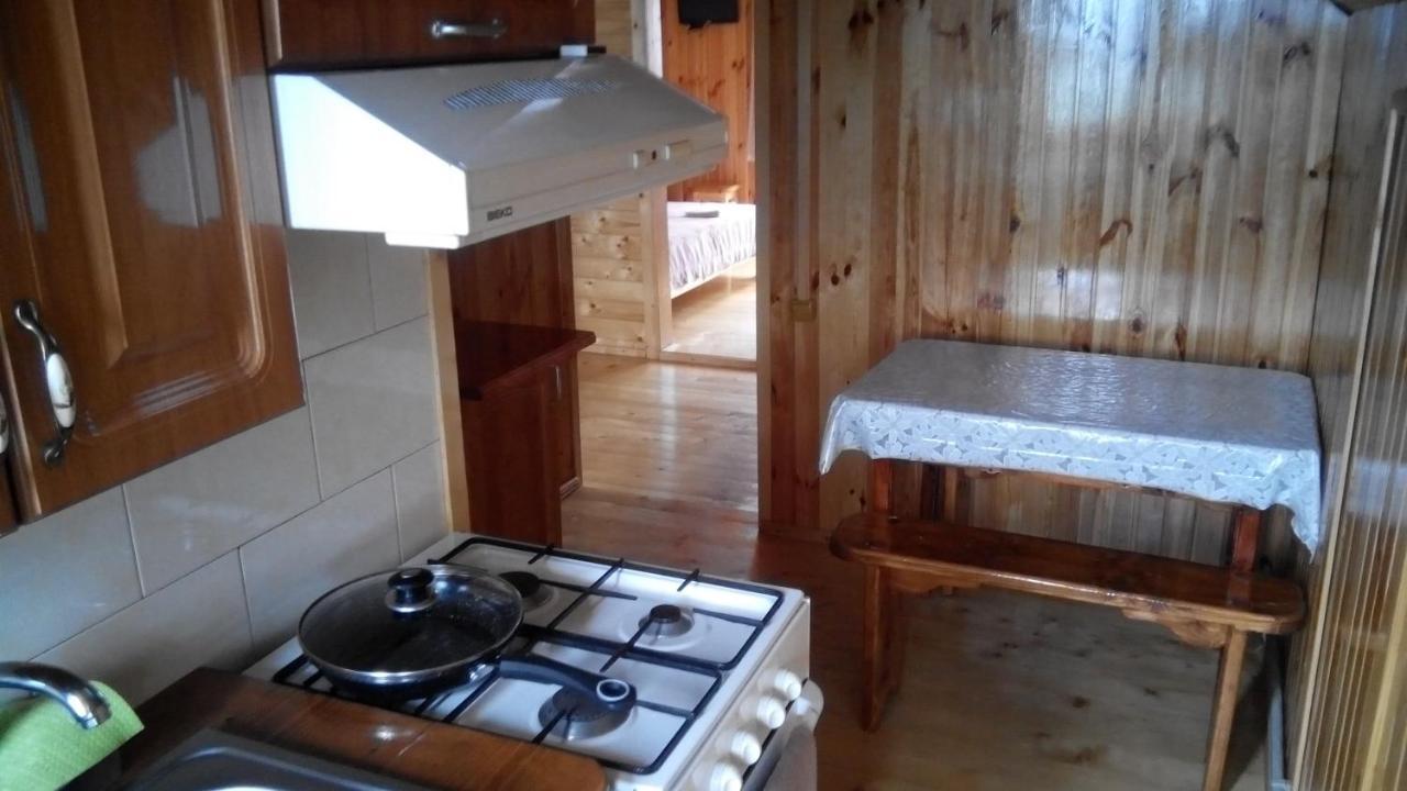 Біля Лісу Daire Slavske Dış mekan fotoğraf